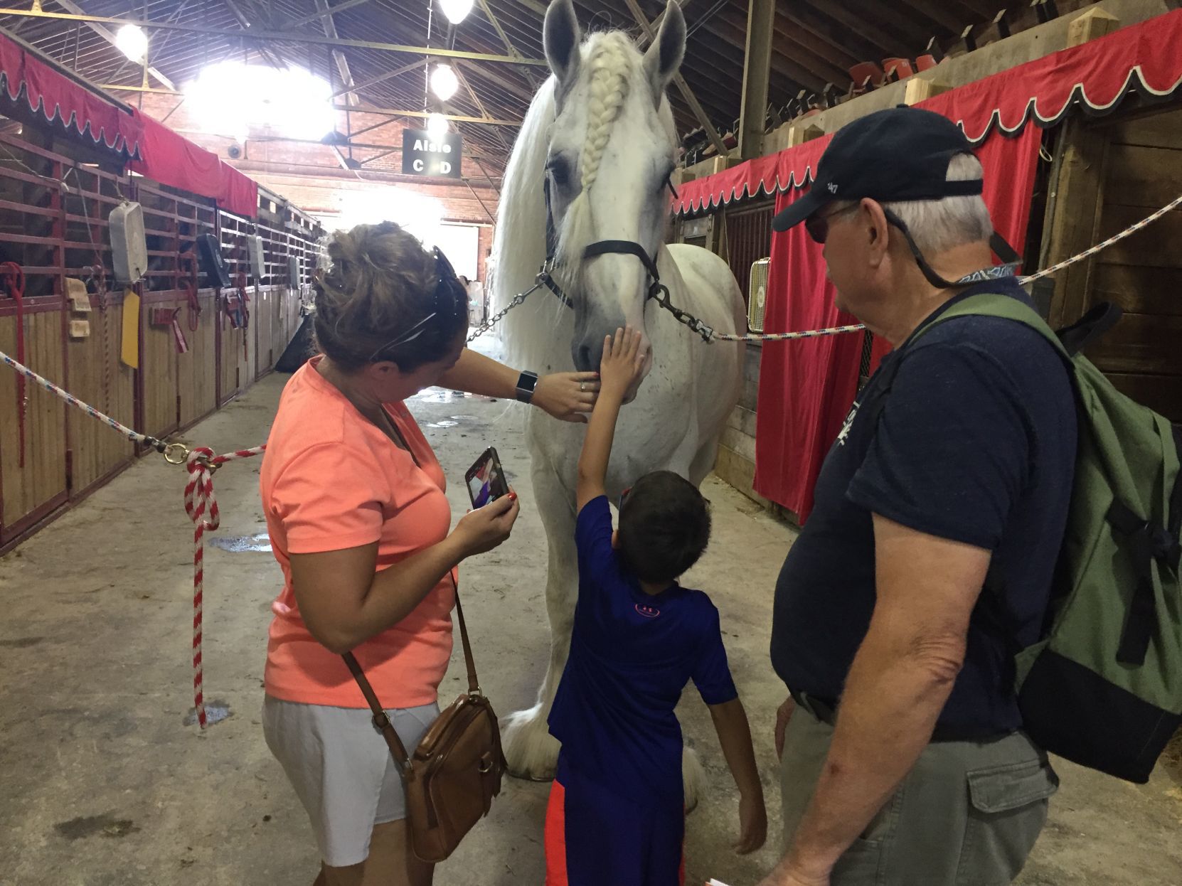 081319ho-state-fair-6